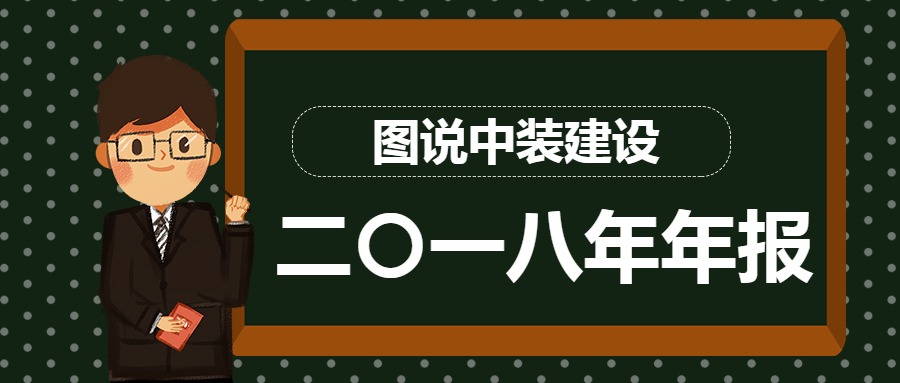 图说乐动官方网站2018年年报